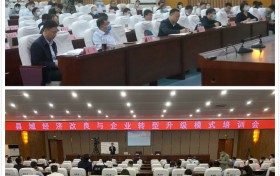 河南郏县成功举办县域经济论坛与企业转型升级培训